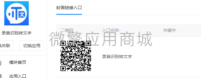 录音识别转文字小程序制作，录音识别转文字网站系统开发