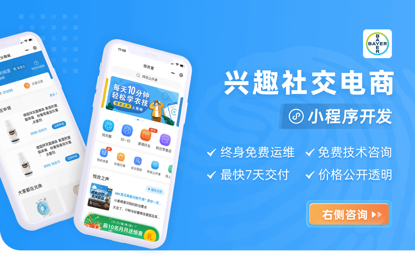 芋头小程序软件开发、芋头网站建设、小程序开发、网站制作-第2张图片-小程序制作网